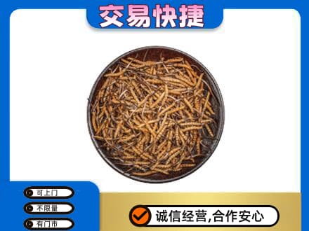 鹿寨县回收散虫草